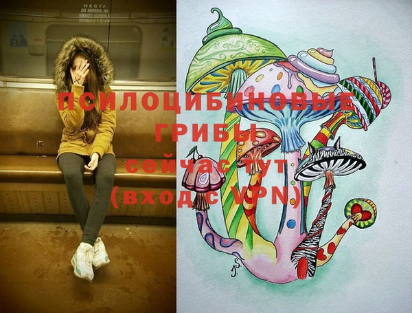 меф Дмитровск