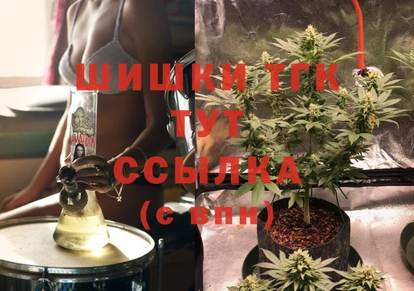 винт Дмитров