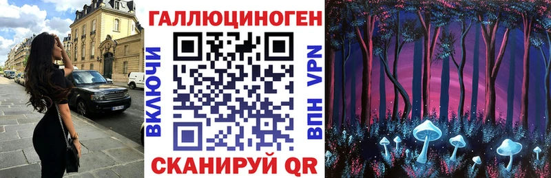 Купить закладки  Кущёвская  Псилоцибиновые грибы Cubensis 